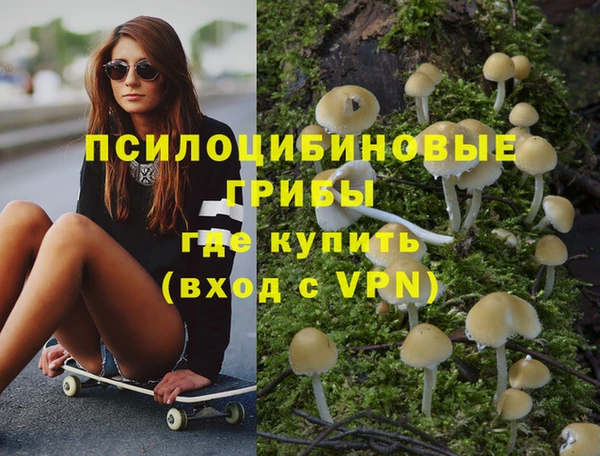 молекула духа Волосово