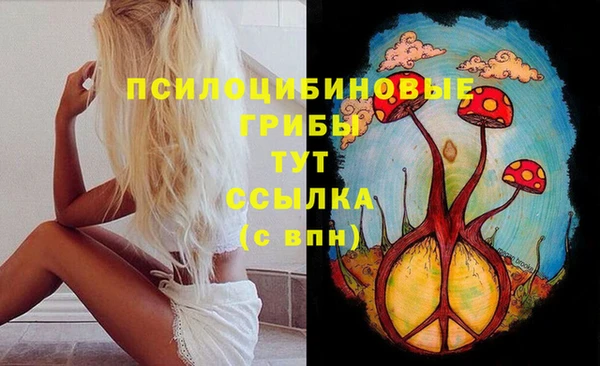 дмт Верея