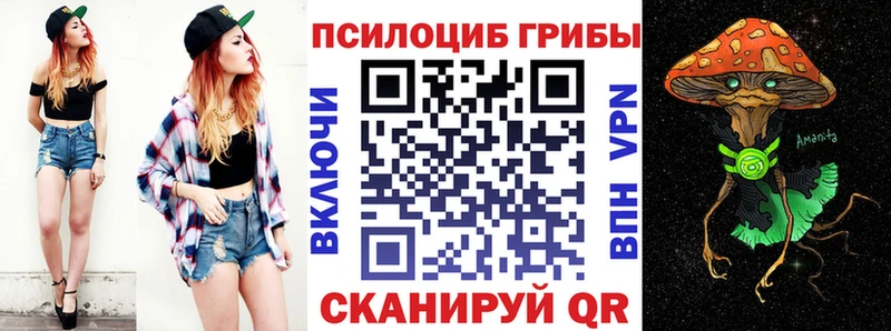 Галлюциногенные грибы Psilocybe  купить наркоту  Голицыно 